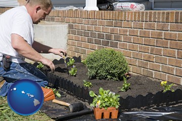 landscape gardener with Hawaii icon